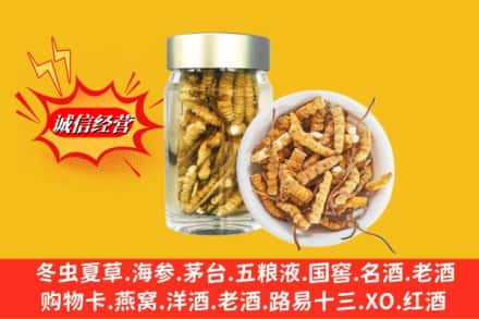 稻城县回收散虫草